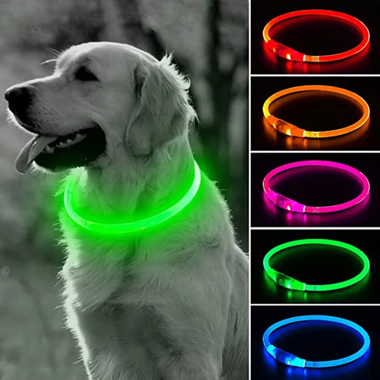 LED Dog Collar GLOW GUARD